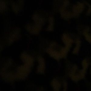 Meet your Posher, Lila